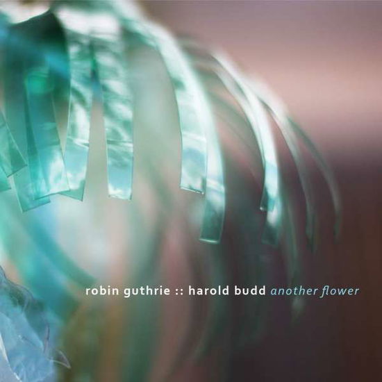 Cover for Robin &amp; Harold Budd Guthrie · Another Flower (CD) [Digipak] (2020)