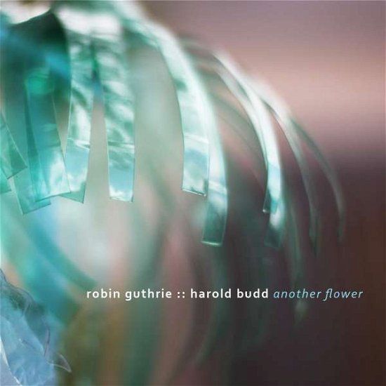 Cover for Guthrie,robin / Budd,harold · Another Flower (CD) [Digipak] (2020)