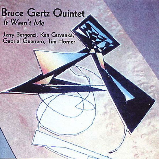 Cover for Bruce Gertz · It Wasn't Me (CD)