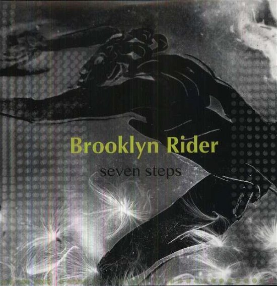 Seven Steps - Brooklyn Rider - Musique - IN A CIRCLE - 0724101236020 - 19 janvier 2018