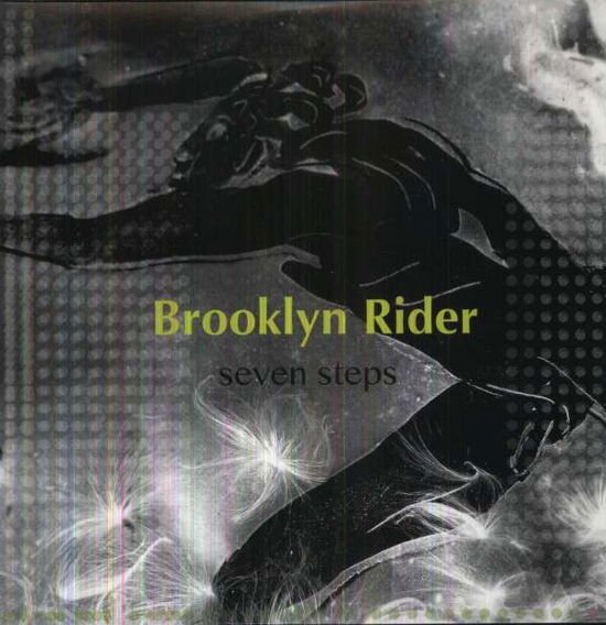 Seven Steps - Brooklyn Rider - Musikk - IN A CIRCLE - 0724101236020 - 19. januar 2018