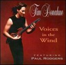 Cover for Tim Donahue · Voices in the Wind (CD) (1997)
