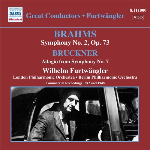 Furtwangler Rec.vol.7 - Brahms / Bruckner - Musiikki - NAXOS - 0747313300020 - torstai 4. syyskuuta 2008