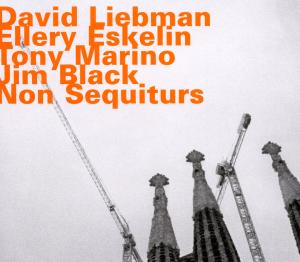 Non Sequiturs - Liebman & Eskelin - Musique - HATOLOGY - 0752156071020 - 21 mars 2012