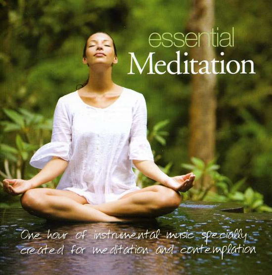 Essential Meditation - Patrick Kelly - Music - New World Music - 0767715007020 - January 10, 2012