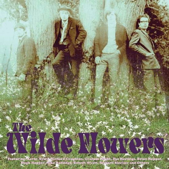 Cover for The Wilde Flowers (CD) [Reissue edition] (2015)