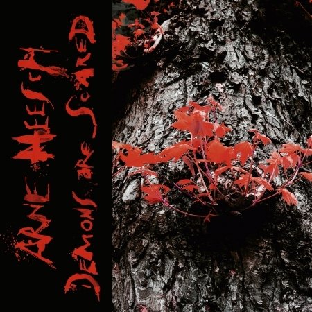 Arne Heesch · Demons Are Scared (LP/CD) (2022)