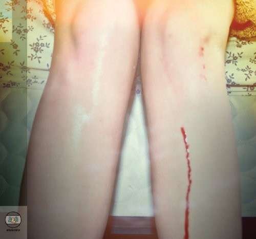 Cover for Los Campesinos · Romance is Boring (CD) (2010)