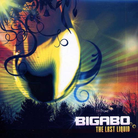 Cover for Bigabo · The Last Liquid (CD) (2018)