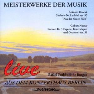 Meisterwerkeder Musik - Dvorak / Naether / Orchester Der Deutschen - Music - QST - 4025796098020 - March 9, 2005