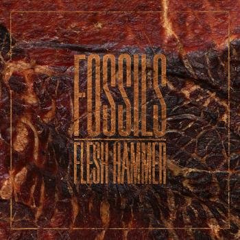 Cover for Fossils · Flesh Hammer (LP) (2018)