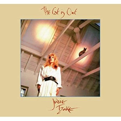 Cover for Judie Tzuke · The Cat Is Out (CD) (2021)