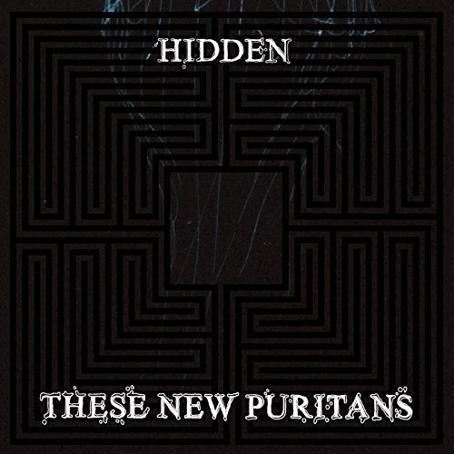 Hidden - These New Puritans - Musikk - UNIVERSAL - 5099960817020 - 15. januar 2010
