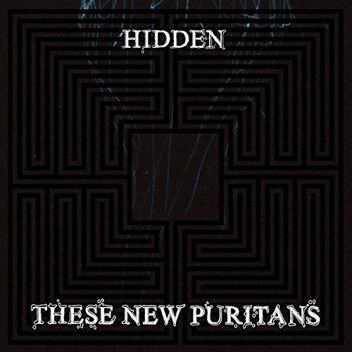 Hidden - These New Puritans - Música - UNIVERSAL - 5099960817020 - 15 de enero de 2010