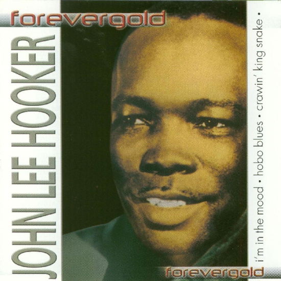 I'M In The Mood - John Lee Hooker - Musikk - FOREVER GOLD - 5399827014020 - 21. april 2005