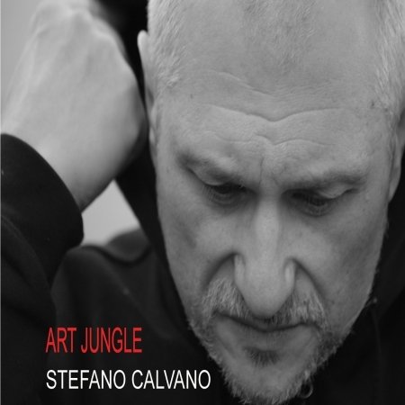 Cover for Calvano Stefano · Calvano Stefano - Art Jungle (CD) (2015)