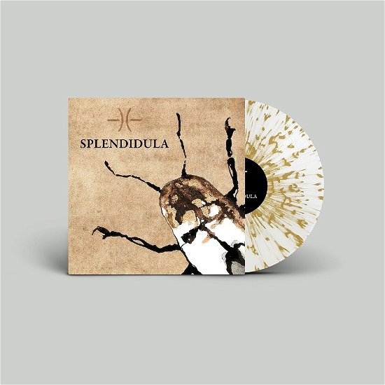 Cover for Splendidula (LP) (2023)