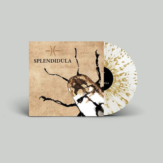 Cover for Splendidula (LP) (2023)