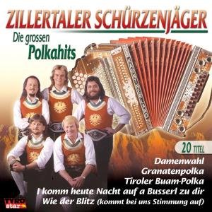 Die Großen Polkahits - Schürzenjäger Die Zillertaler - Musik - TYROLIS - 9003549774020 - 12. juni 2003