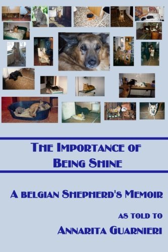 Cover for Annarita Guarnieri · The Importance of Being Shine (Paperback Book) (2013)