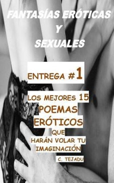 Cover for C Tejadu · Fantasias Eroticas Y Sexuales Entrega # 1 (Taschenbuch) (2019)