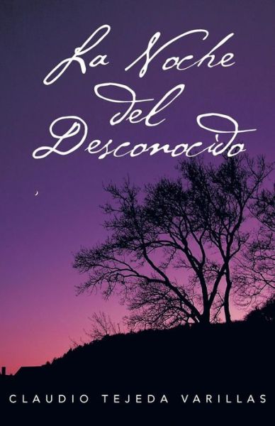 Cover for Claudio Tejeda Varillas · La Noche Del Desconocido (Paperback Book) (2013)