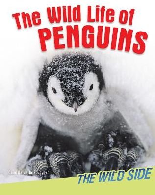 Cover for Camilla De La Bedoyere · The Wild Life of Penguins (Hardcover bog) (2014)