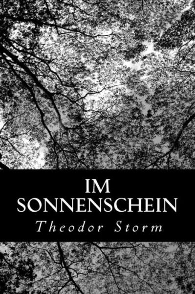 Cover for Theodor Storm · Im Sonnenschein (Paperback Bog) (2012)