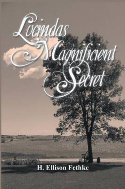 Cover for H Ellison Fethke · Lucinda's Magnificient Secret (Taschenbuch) (2014)