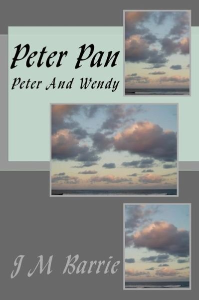 Cover for James Matthew Barrie · Peter Pan: Peter and Wendy (Paperback Book) (2014)
