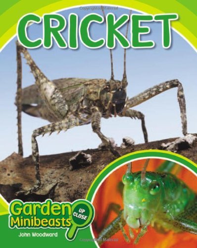 Cover for John Woodward · Cricket (Garden Minibeasts Up Close) (Hardcover bog) (2010)