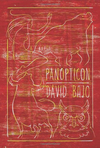 Cover for David Bajo · Panopticon (Hardcover Book) (2010)