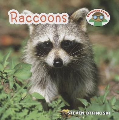 Cover for Steven Otfinoski · Raccoons (Backyard Safari) (Pocketbok) (2014)