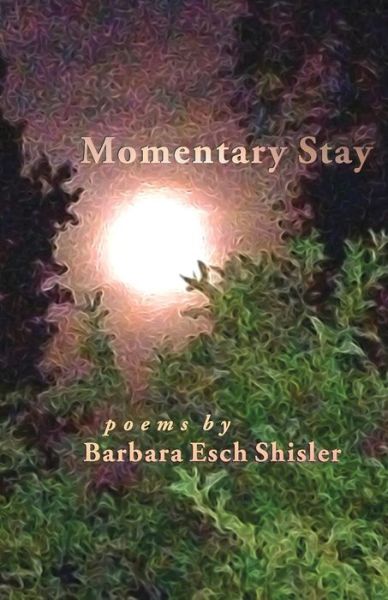 Cover for Barbara Esch Shisler · Momentary Stay (Paperback Book) (2015)