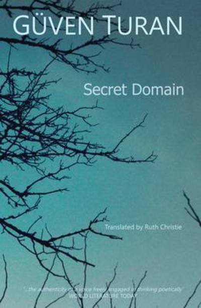 Cover for Guven Turan · Secret Domain (Paperback Book) (2015)