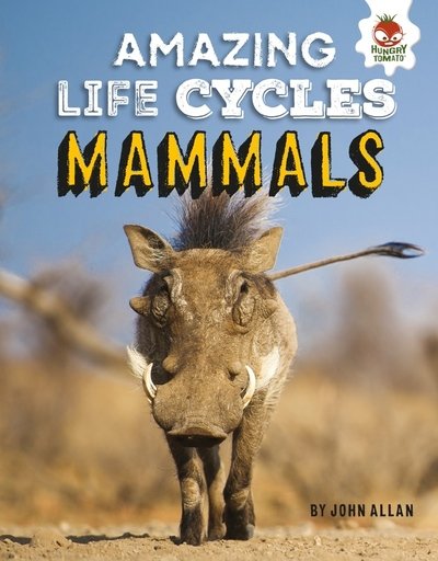 Cover for John Allan · Amazing Life Cycles- Mammals (Paperback Book) (2019)