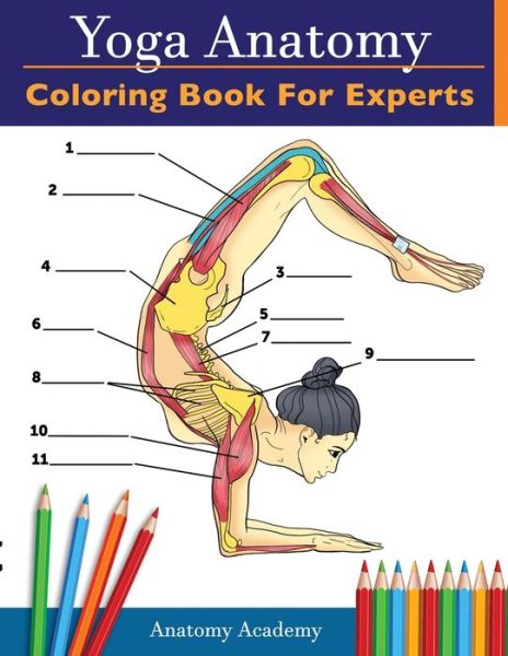 Cover for Anatomy Academy · Yoga Anatomy Coloring Book for Experts (Paperback Book) (2020)