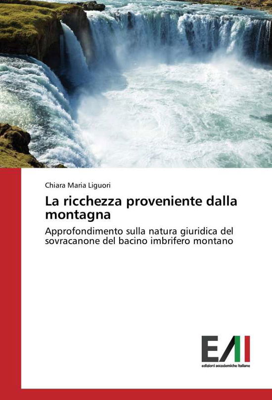 Cover for Liguori · La ricchezza proveniente dalla (Book)