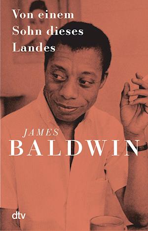 Von einem Sohn dieses Landes - James Baldwin - Books - dtv Verlagsgesellschaft - 9783423149020 - July 11, 2024