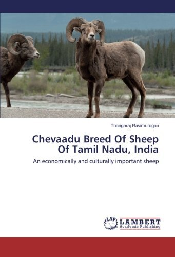 Cover for Thangaraj Ravimurugan · Chevaadu Breed of Sheep of Tamil Nadu, India: an Economically and Culturally Important Sheep (Paperback Bog) (2015)