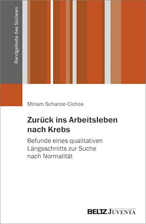 Schanze:zurück Ins Arbeitsleben Nach Kr (Book)