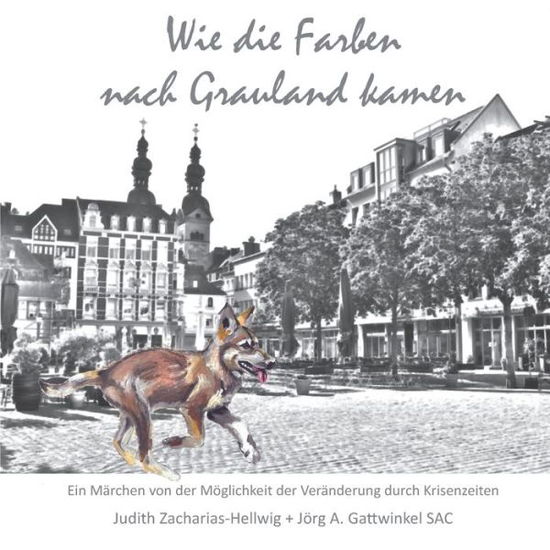 Cover for Joerg A Gattwinkel Sac · Wie die Farben nach Grauland kamen (Paperback Book) (2021)