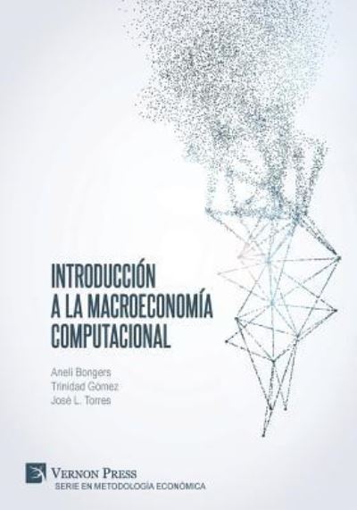 Cover for Anelí Bongers · Introduccion a la Macroeconomia Computacional (Paperback Book) (2019)