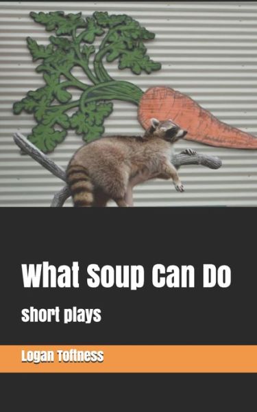 Cover for Logan Toftness · What Soup Can Do (Paperback Book) (2020)