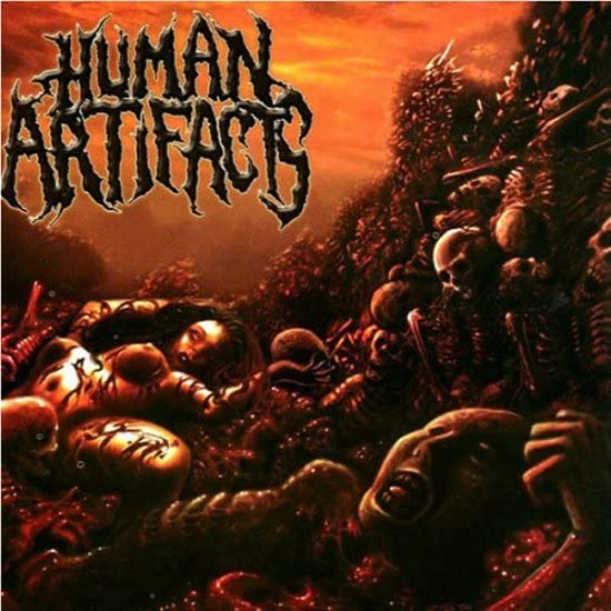 Cover for Humanartifacts · Principles of Sickness (CD) (2013)