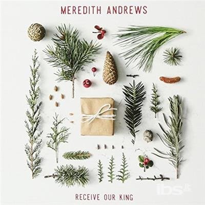 Receive Our King - Meredith Andrews - Musique - WORD - 0080688997021 - 27 octobre 2017