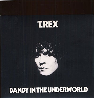 Dandy in the Underworld - T.rex - Musikk - RHINO - 0081227322021 - 8. november 2005
