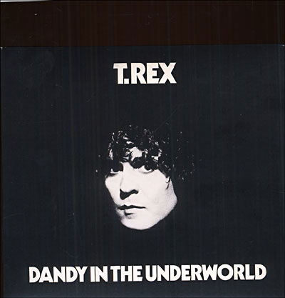 Dandy in the Underworld - T.rex - Musik - RHINO - 0081227322021 - 8. November 2005