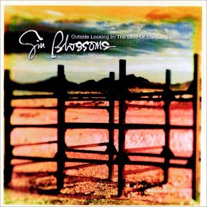 Cover for Gin Blossoms · Outside Looking In: Best of (CD) (1999)