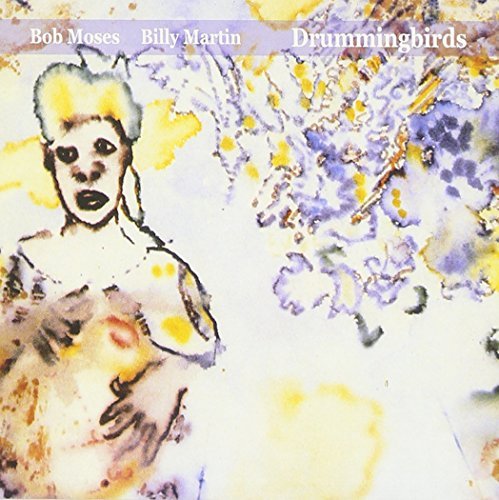 Cover for Bob Moses · Drummingbirds (CD) (2003)